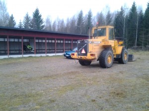 Dammängen2
