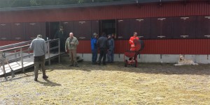 Korvgrillning efter städdagen